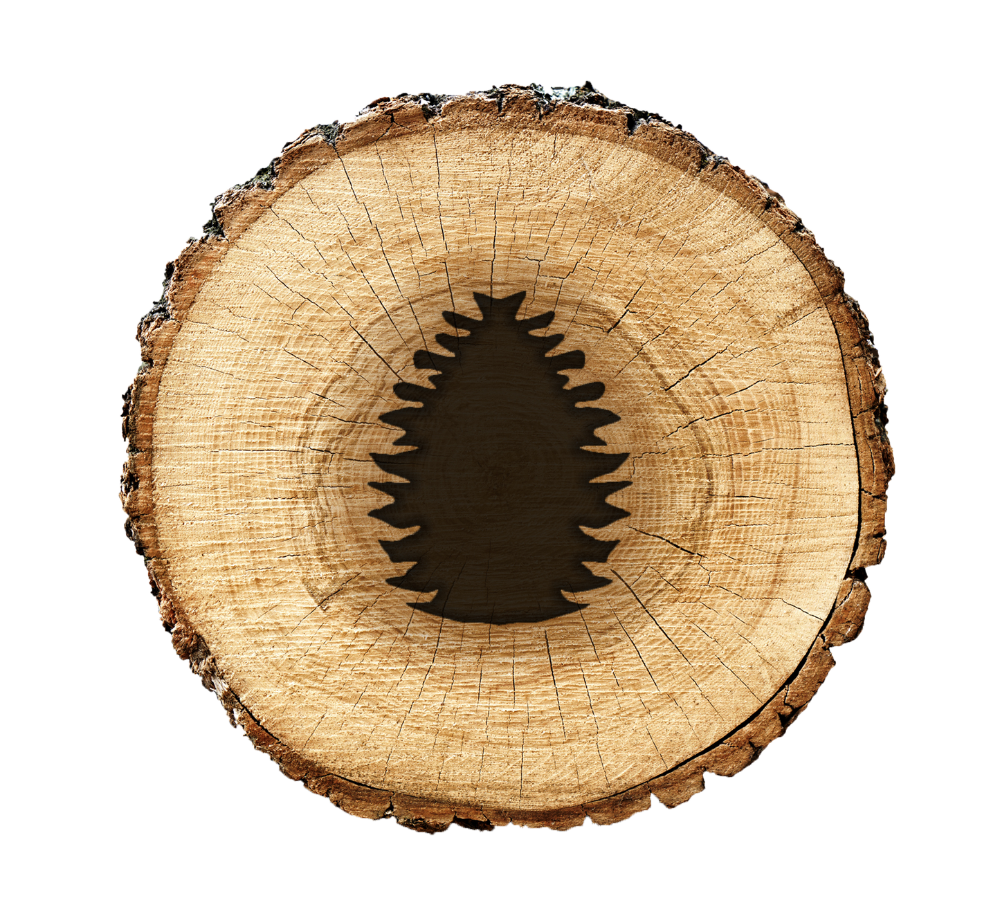 BurnStencil® - Pine Cone