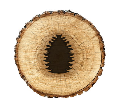BurnStencil® - Pine Cone