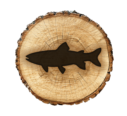 BurnStencil® - Fish (Trout) (Mini)