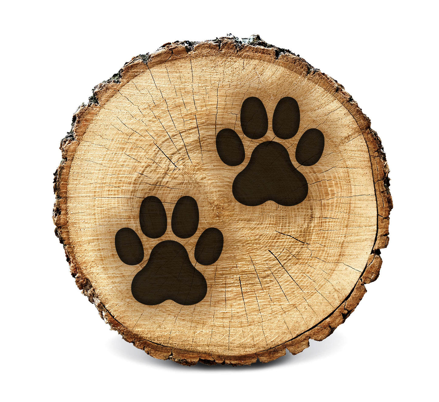 BurnStencil® - Cat Tracks